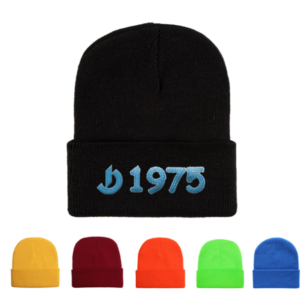 SUS3282-1 The Cozy Cuff Beanie
