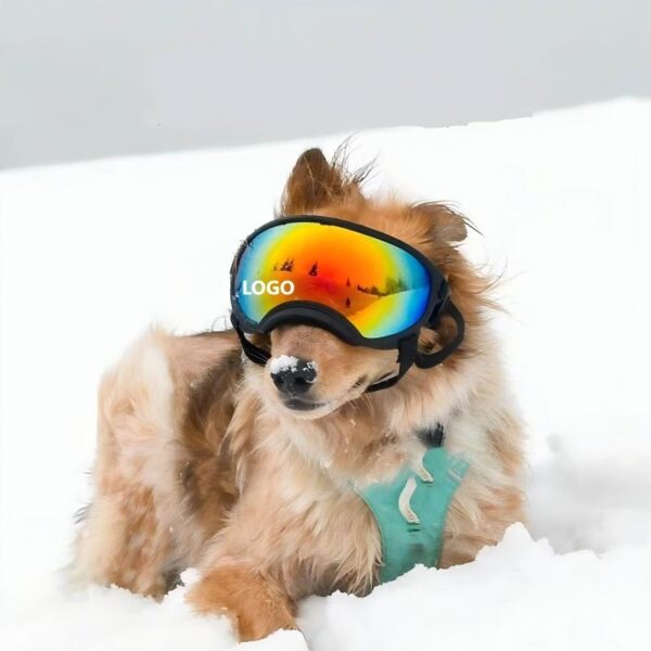 PUP Sunglasses
