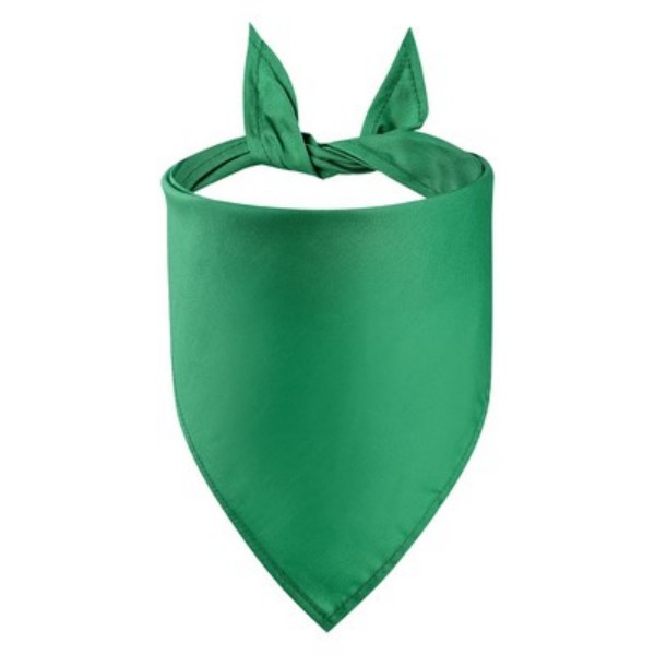 Pet Bandanna - Image 8